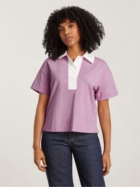 Everlane Top XS Retro Rugby Jersey Polo Purple